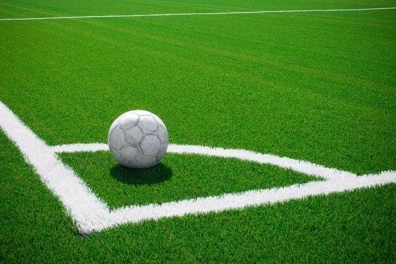 Sports Field Pro Artificial Grass - FIFA Standard