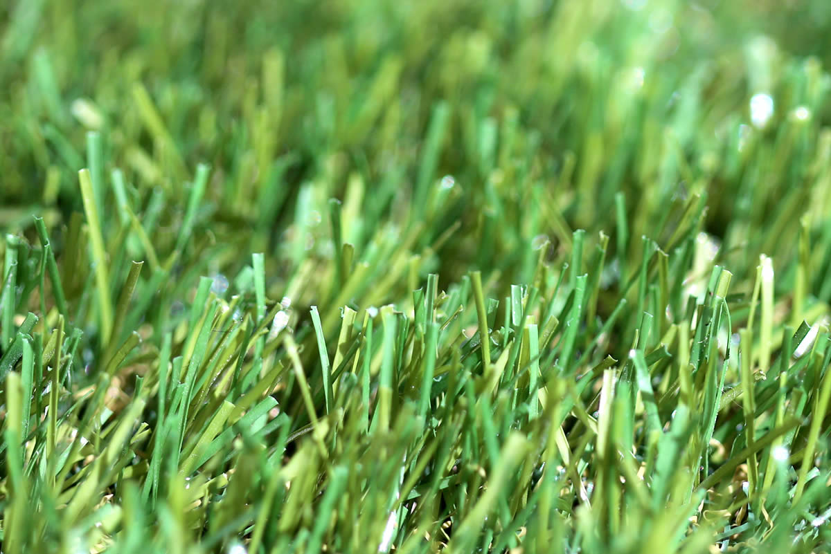 Classic 30 artificial grass - 04