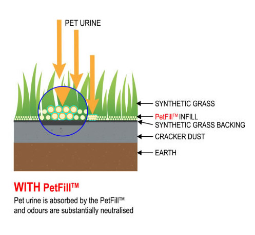 Why Petfill artificial grass urine deodorizer works