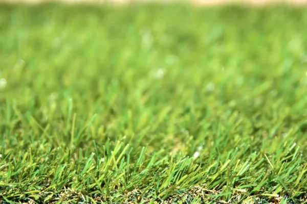 Classic 30 artificial grass - pet friendly and low maintenance