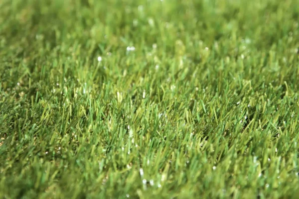 Classic 30mm artificial grass - great value for money