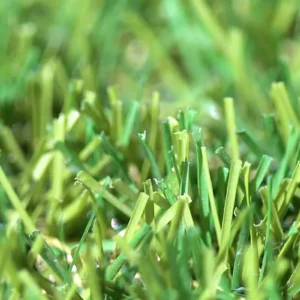 Classic 30mm artificial grass features a two-tone colour