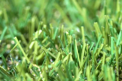 Classic 30mm artificial grass features a two-tone colour