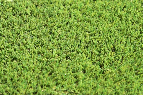 W-Spec 30 Artificial Grass - soft to walk on