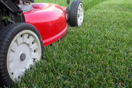 No mowing needed for artificial lawn