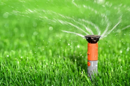 No watering needed for artificial lawn