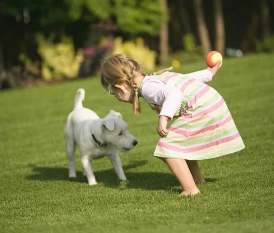 Kid friendly artificial lawn