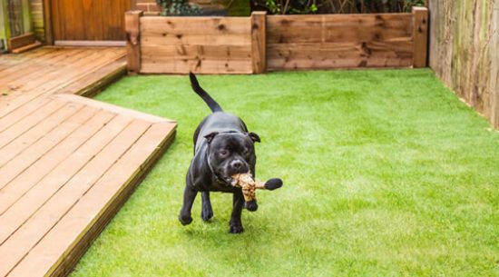 Artificial grass - great for dogs