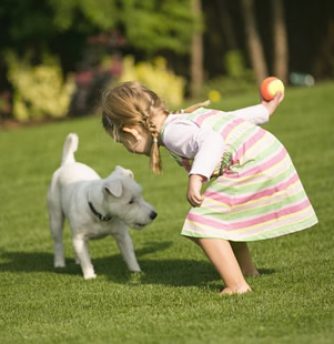 The best kid and pet friendly artificial grass